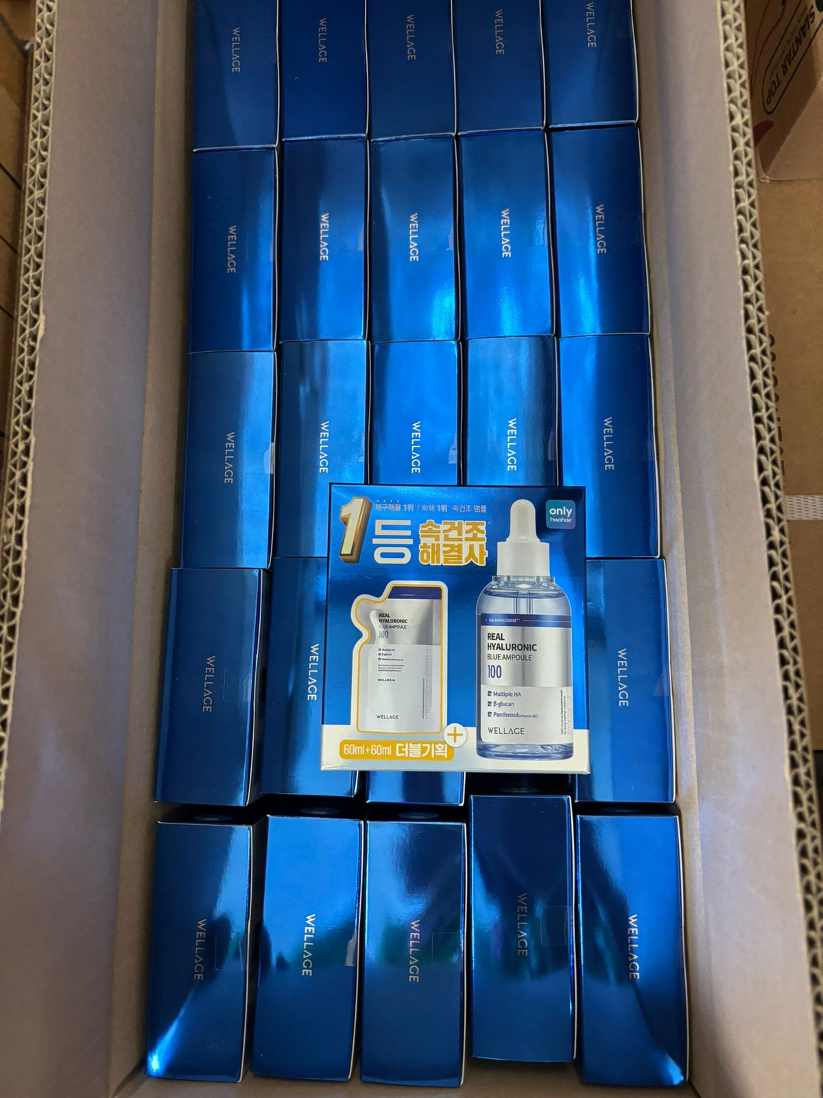 【24小時網站自助下單】現貨🌸Wellage 玻尿酸藍色安瓶 套裝 60ml+60ml | 落單後約3-5個工作天寄出 娉婷貿易公司 Exquisite Beauty Trading Company