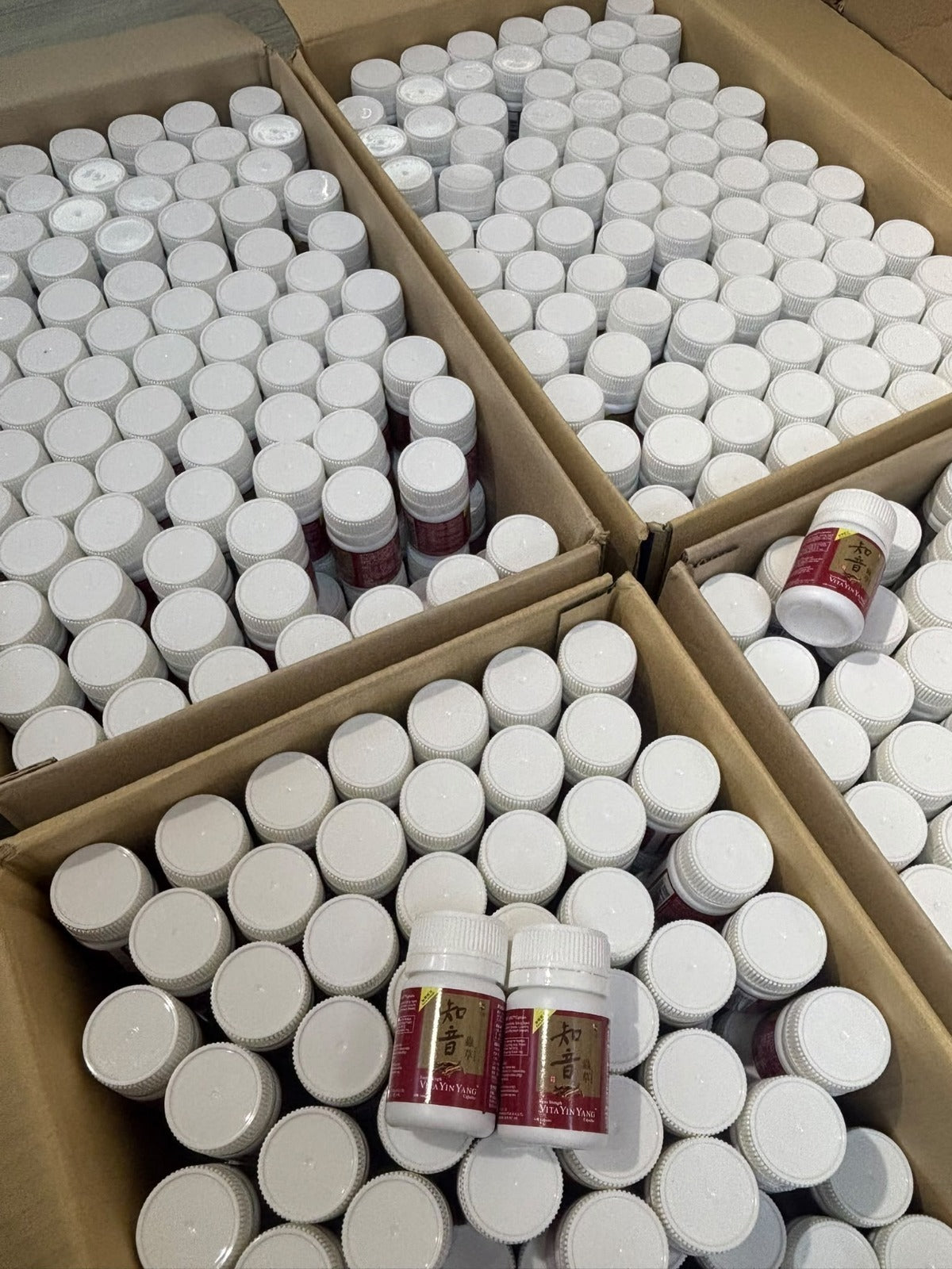 【24小時網站自助下單】現貨🌸維特健靈「知音蟲草」10粒 | 落單後約5-7個工作天寄出 娉婷貿易公司 Exquisite Beauty Trading Company