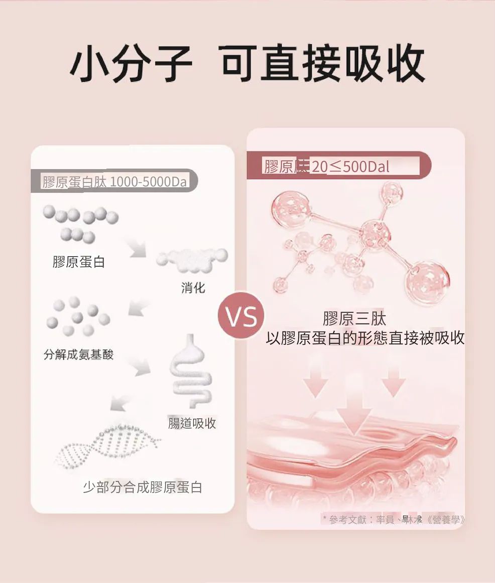 現貨 | 🔥🔥代理貨🔥ILO - Type 1 膠原蛋白安瓶 - 28日份 娉婷貿易公司 Exquisite Beauty Trading Company