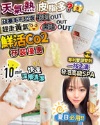 🌸鮮活Co2 | 預訂約1-2星期 娉婷貿易公司 Exquisite Beauty Trading Company