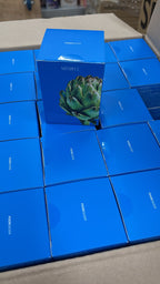 【24小時網站自助下單】現貨🌸MINDFUL Mediterranean Artichoke 地中海朝鮮薊(10排/10日) | 落單後約3-5個工作天寄出 娉婷貿易公司 Exquisite Beauty Trading Company