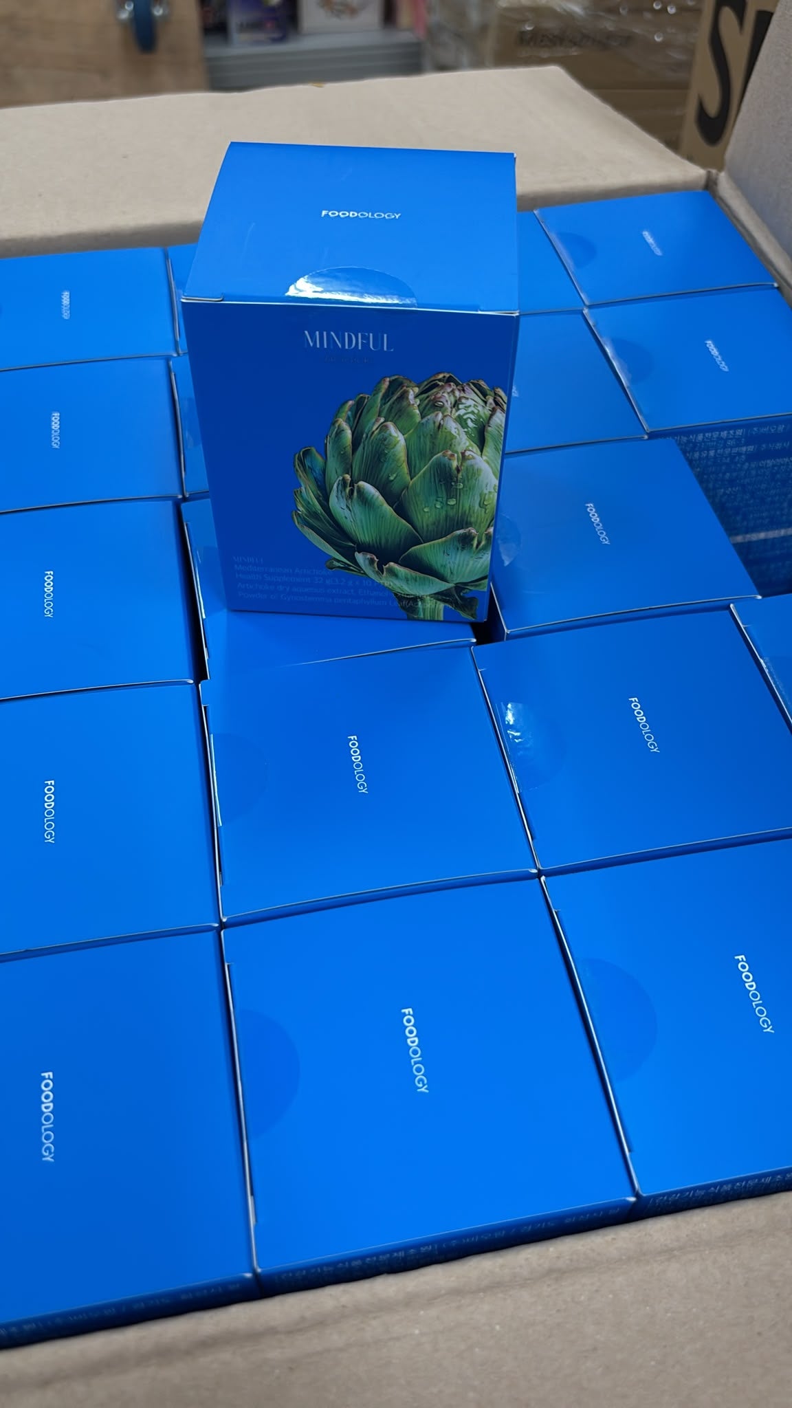 【24小時網站自助下單】現貨🌸MINDFUL Mediterranean Artichoke 地中海朝鮮薊(10排/10日) | 落單後約3-5個工作天寄出 娉婷貿易公司 Exquisite Beauty Trading Company