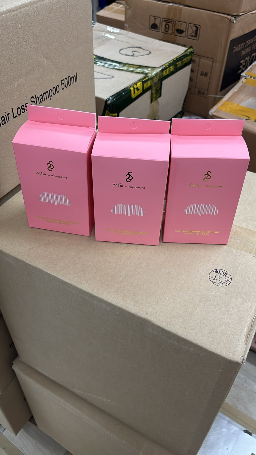 【24小時網站自助下單】現貨🌸告別草莓鼻🍓sofia in wonderland黑頭貼🌟1盒10套 | 落單後約3-5個工作天寄出 娉婷貿易公司 Exquisite Beauty Trading Company