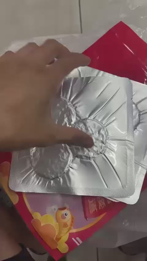 2026-01-10截🌸馬來西亞直送 Garlic bread king 炭燒金錢肉乾🧧 | 預訂約2月初至中