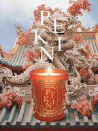 現貨🌸免稅正品 Diptyque Classic Candles 蒂普提克城市蠟燭限量版190g | 落單後約3-5個工作天寄出 娉婷貿易公司 Exquisite Beauty Trading Company