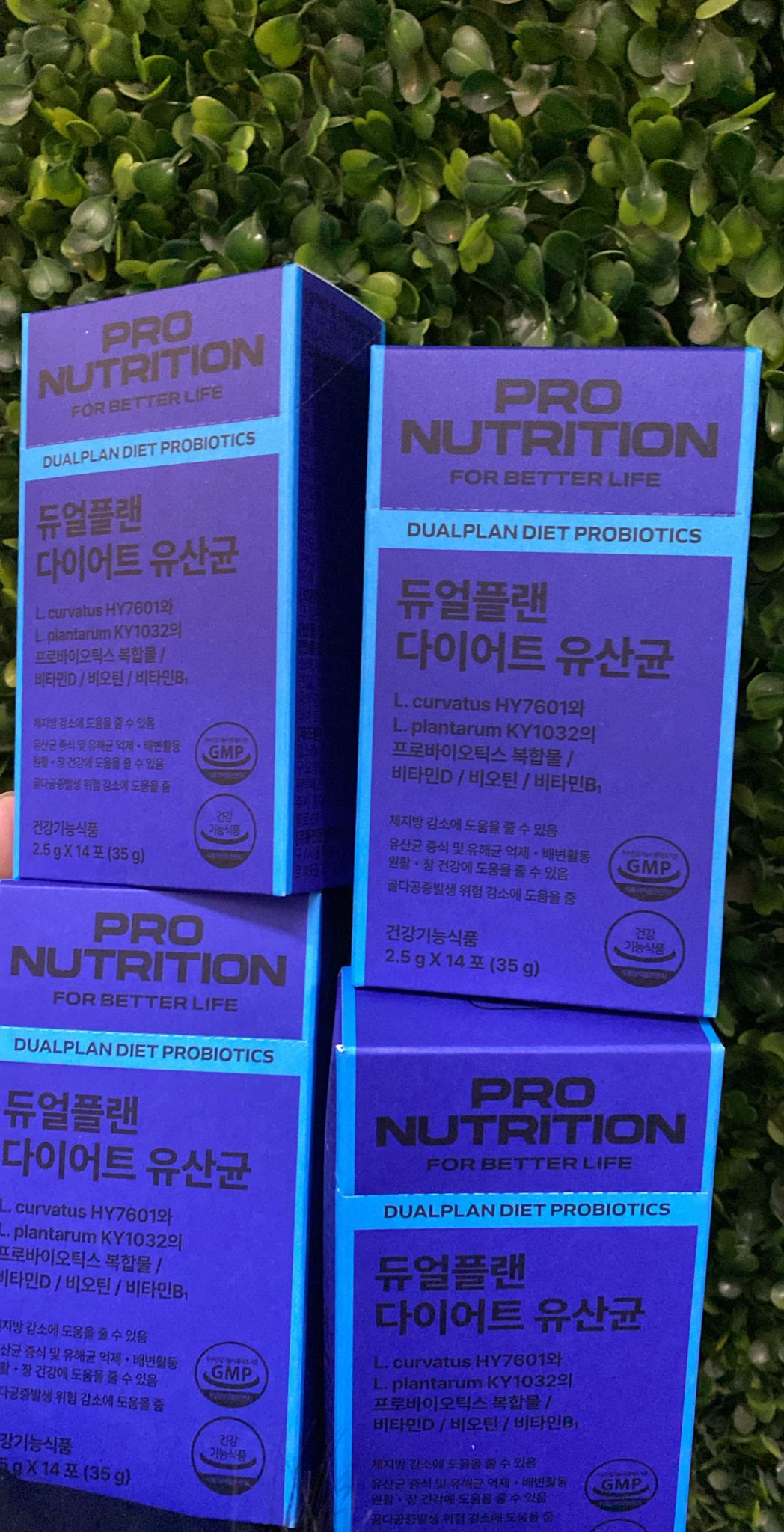 🌸Pro Nutrition 整腸瘦身100億益生菌 14包 | 預訂約12月尾至1月初