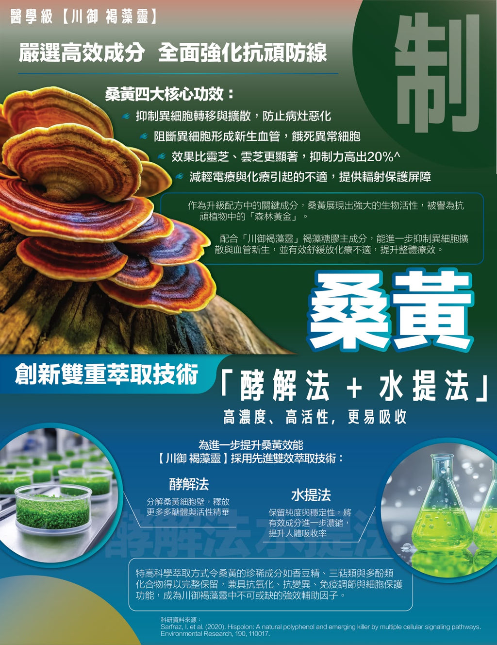 【24小時網站自助下單】售完即止🌸🛡️ 川御 褐藻靈 醫學級天然褐藻糖膠 60粒 | 預訂約1-2星期
