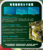 【24小時網站自助下單】售完即止🌸🛡️ 川御 褐藻靈 醫學級天然褐藻糖膠 60粒 | 預訂約1-2星期