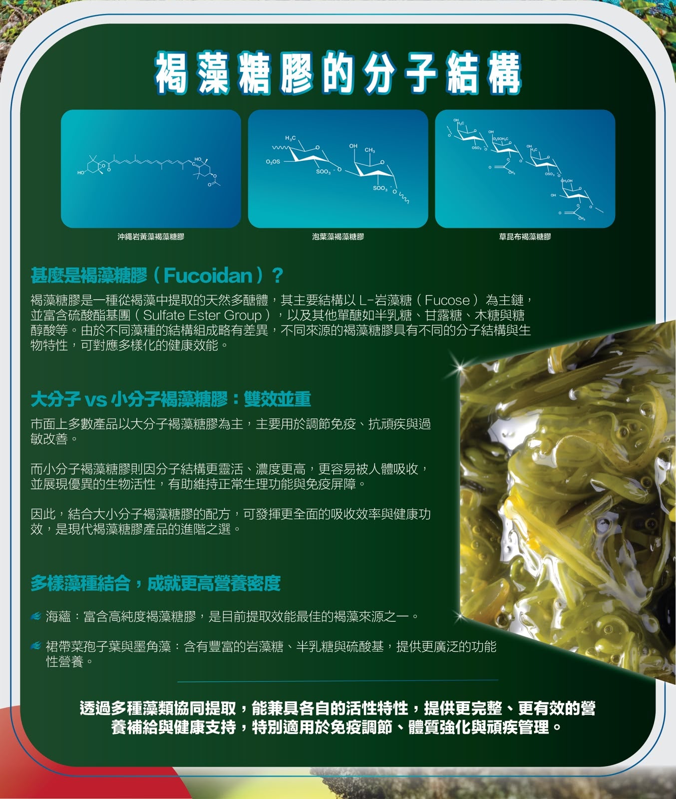 【24小時網站自助下單】售完即止🌸🛡️ 川御 褐藻靈 醫學級天然褐藻糖膠 60粒 | 預訂約1-2星期