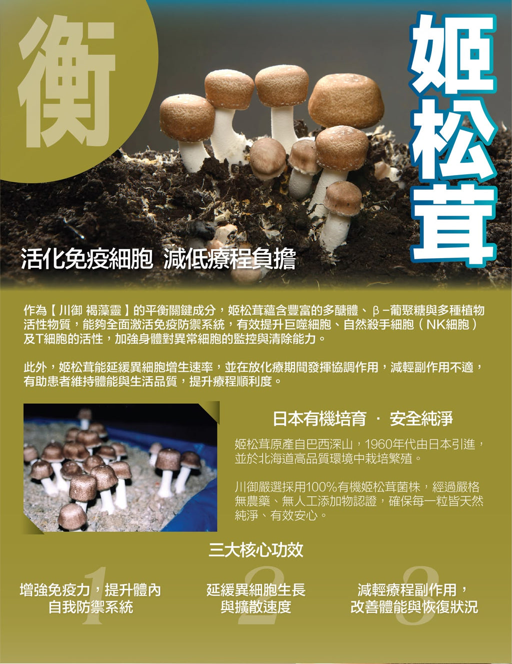 【24小時網站自助下單】售完即止🌸🛡️ 川御 褐藻靈 醫學級天然褐藻糖膠 60粒 | 預訂約1-2星期