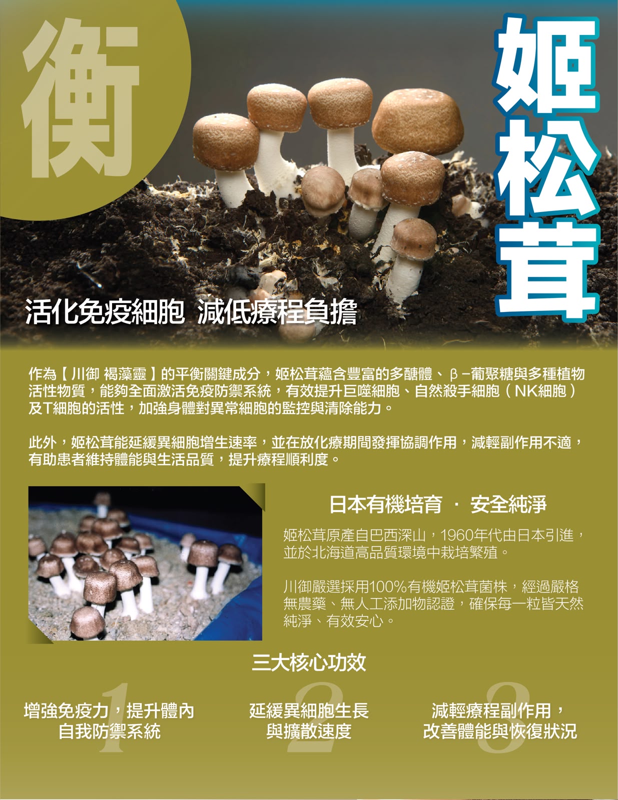 【24小時網站自助下單】售完即止🌸🛡️ 川御 褐藻靈 醫學級天然褐藻糖膠 60粒 | 預訂約1-2星期