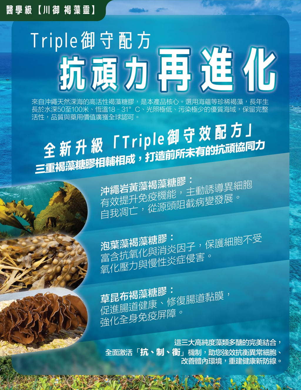 【24小時網站自助下單】售完即止🌸🛡️ 川御 褐藻靈 醫學級天然褐藻糖膠 60粒 | 預訂約1-2星期