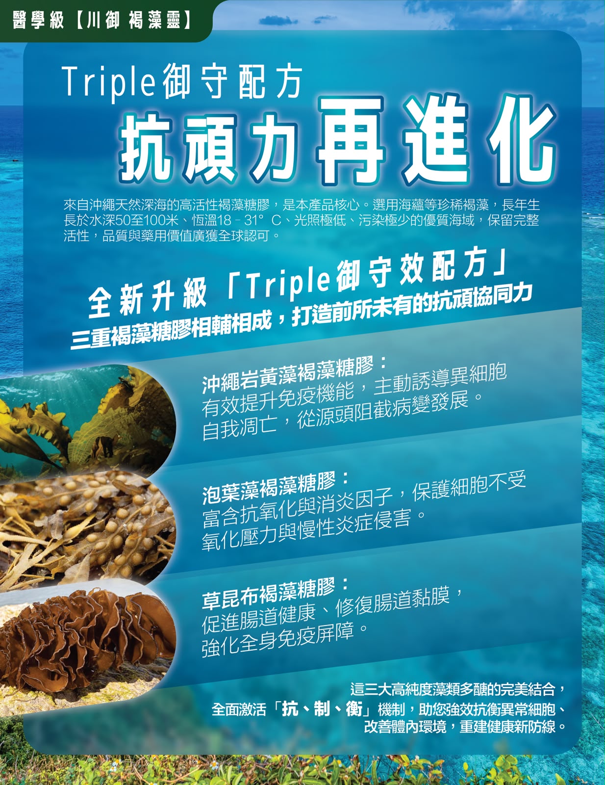 【24小時網站自助下單】售完即止🌸🛡️ 川御 褐藻靈 醫學級天然褐藻糖膠 60粒 | 預訂約1-2星期