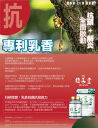 【24小時網站自助下單】售完即止🌸🛡️ 川御 褐藻靈 醫學級天然褐藻糖膠 60粒 | 預訂約1-2星期