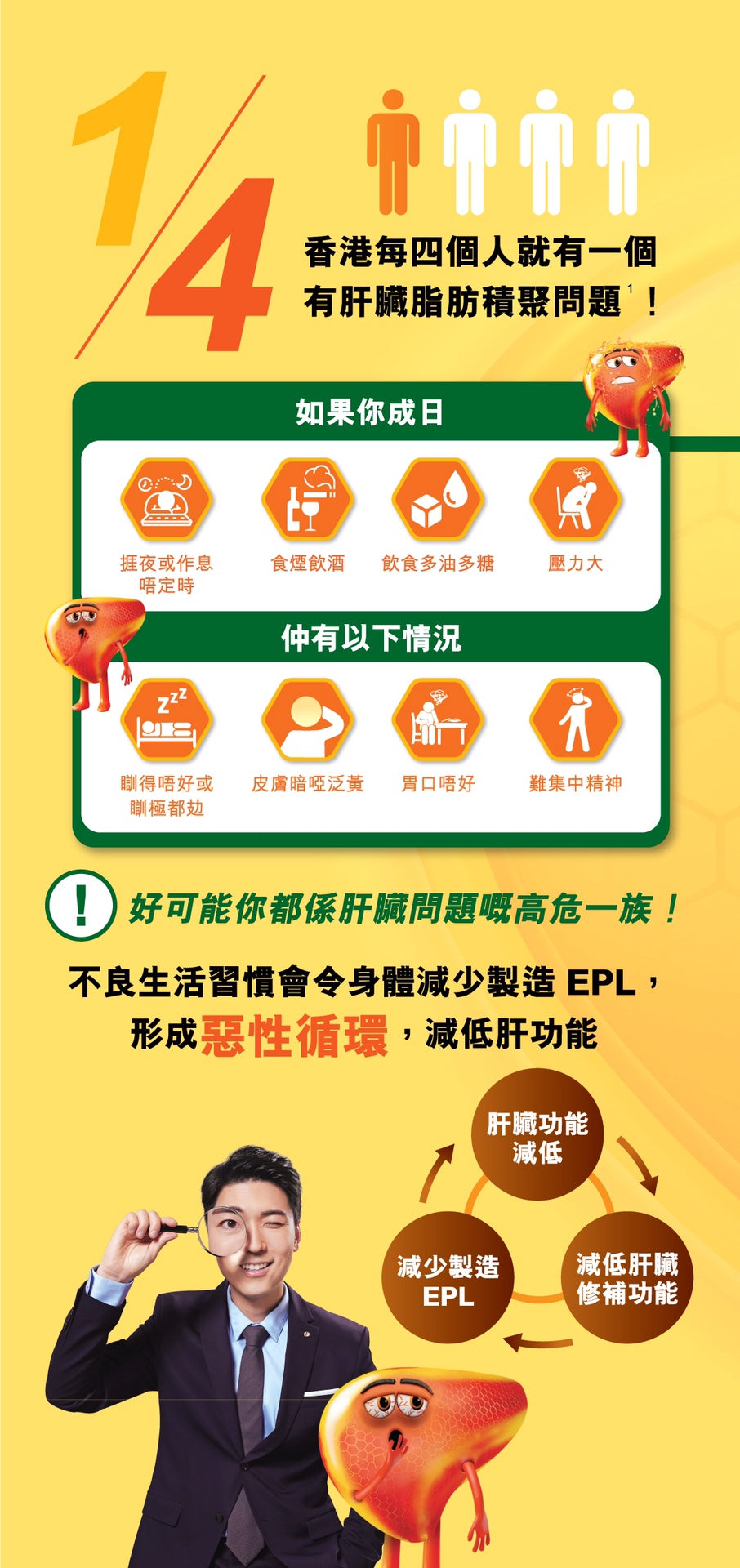 供應商現貨🌸行貨正品 Essentiale健肝素 100粒 | 預訂 逢星期一，三返倉執貨 其後約3-5個工作天寄出 娉婷貿易公司 Exquisite Beauty Trading Company
