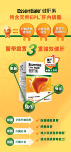 供應商現貨🌸行貨正品 Essentiale健肝素 100粒 | 預訂 逢星期一，三返倉執貨 其後約3-5個工作天寄出 娉婷貿易公司 Exquisite Beauty Trading Company