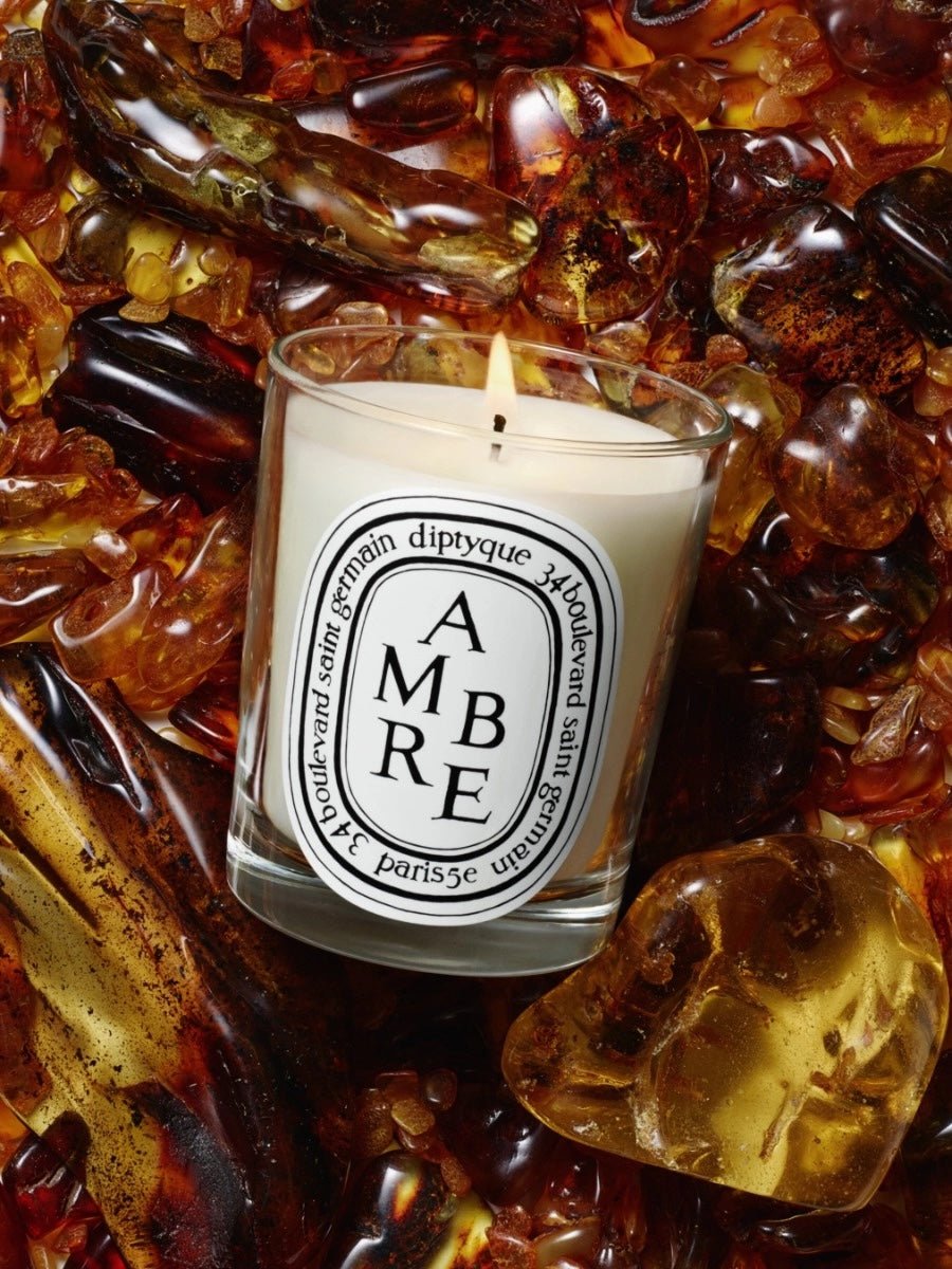 供應商現貨🌸免稅正品 Diptyque Ambre (Amber) - Extra-Large Candle 蒂普提克香氛蠟燭-琥珀70g/600g/1.5kg | 預訂 逢星期一，三返倉執貨 其後約3-5個工作天寄出