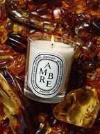 供應商現貨🌸免稅正品 Diptyque Ambre (Amber) - Extra-Large Candle 蒂普提克香氛蠟燭-琥珀70g/600g/1.5kg | 預訂 逢星期一，三返倉執貨 其後約3-5個工作天寄出