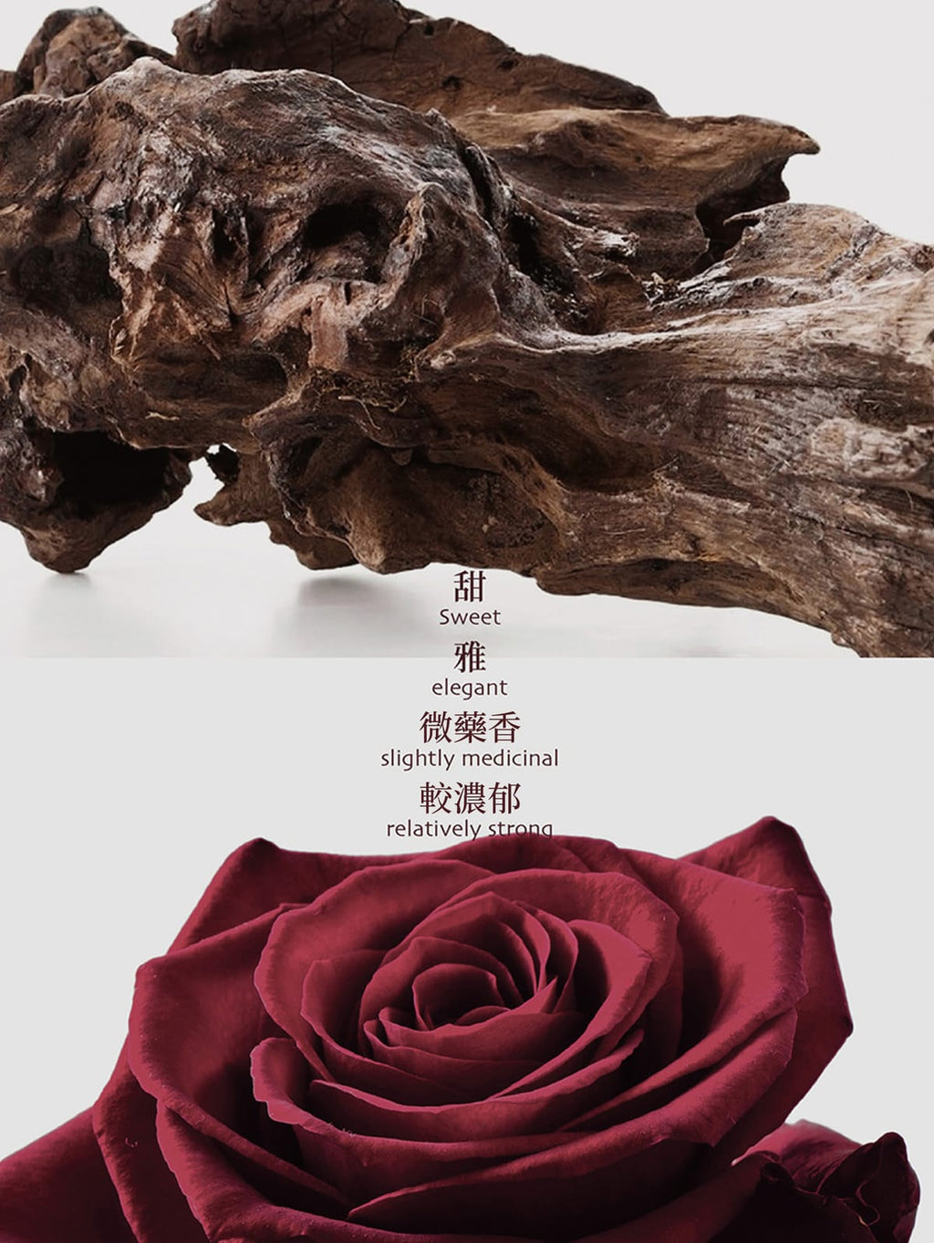 5000支售完即止🌸❤️JEBILLY若百利婆羅沉香香水EDP30ML❤️4711646481936 | 預訂約1-2星期