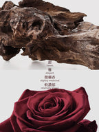 5000支售完即止🌸❤️JEBILLY若百利婆羅沉香香水EDP30ML❤️4711646481936 | 預訂約1-2星期