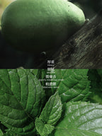 5000支售完即止🌸💚JEBILLY若百利蘇門答臘廣藿香水EDP 30ML💚 | 預訂約1-2星期