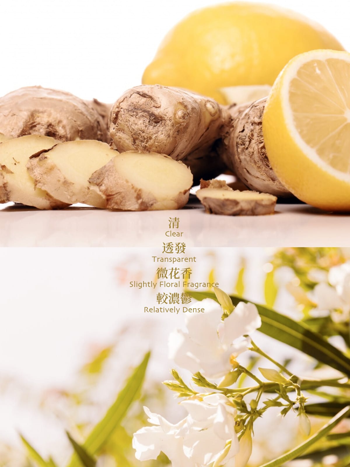 5000支售完即止🌸💜JEBILLY若百利娘惹黄薑EDP 30ML💜 | 預訂約1-2星期