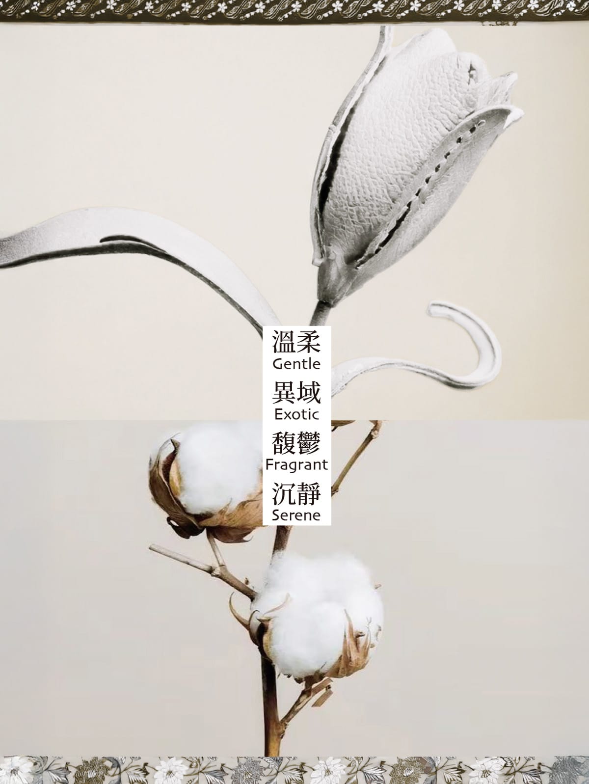 5000支售完即止🌸🤎JEBILLY若百利龍目珍珠香水EDP🤎 | 預訂約1-2星期