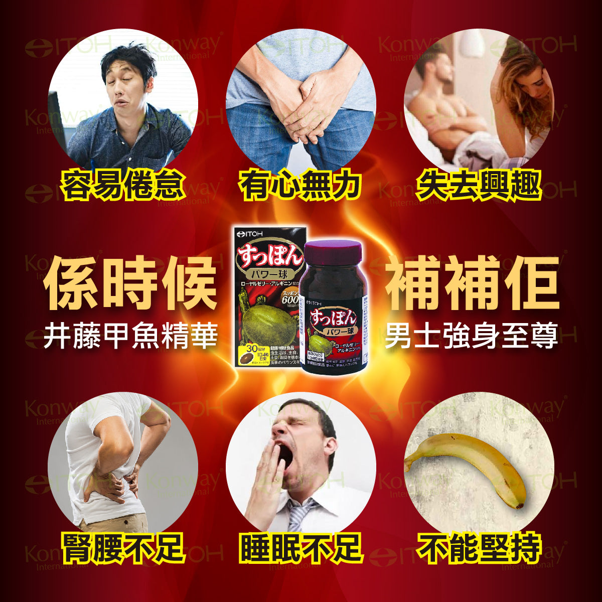 11月11日截 供應商現貨🌸❤️🔥雙11開倉優惠❤️🔥日本ITOH - 高濃縮甲魚精 | 預訂 逢星期一，三返倉執貨 其後約3-5個工作天寄出