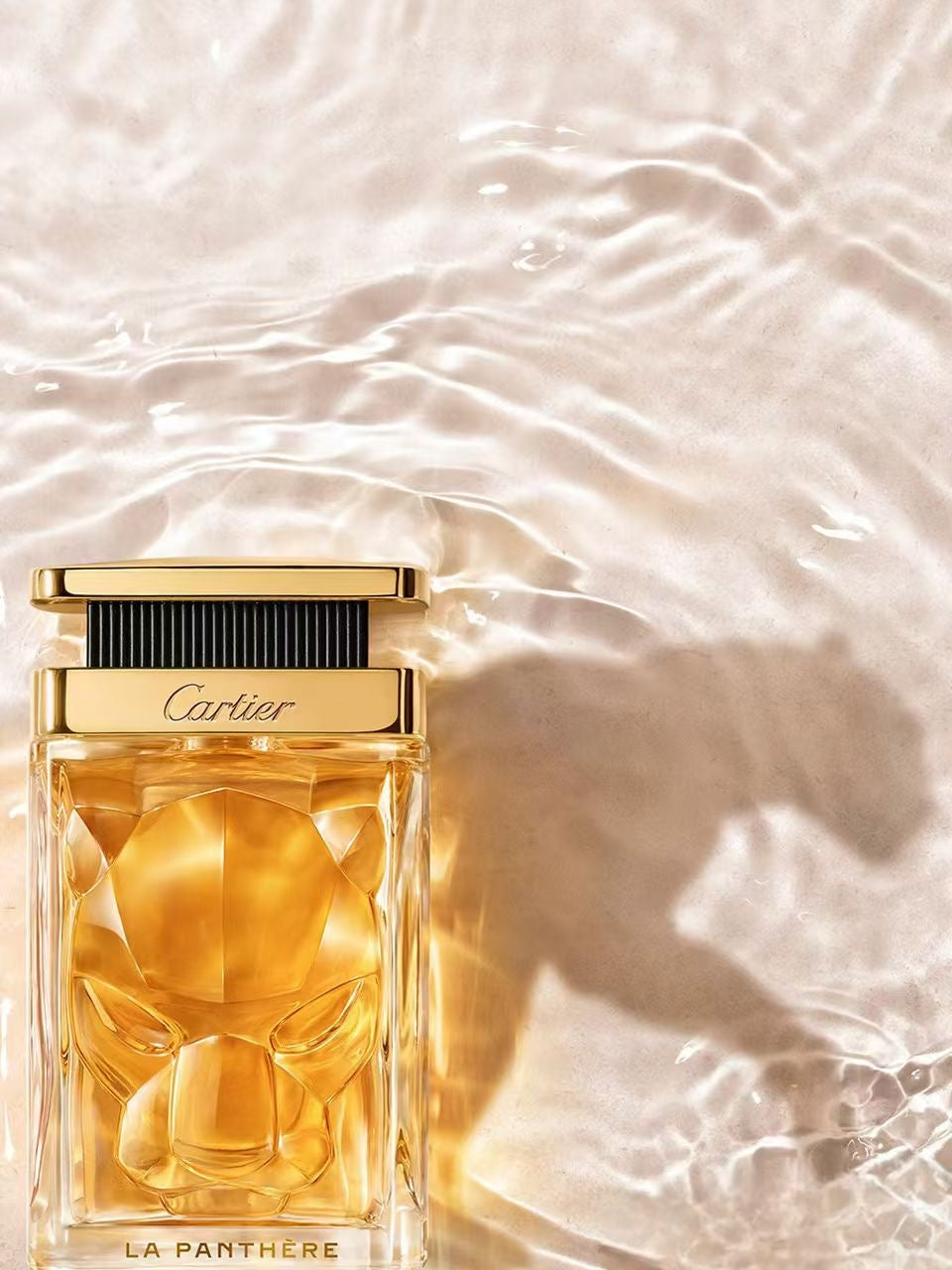 供應商現貨🌸免稅正品 Cartier卡地亞美洲豹系列 | 預訂 逢星期一，三返倉執貨 其後約3-5個工作天寄出