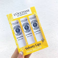 供應商現貨🌸免稅正品 L'Occitane歐舒丹乳木果潤唇膏 | 預訂 逢星期一，三返倉執貨 其後約3-5個工作天寄出