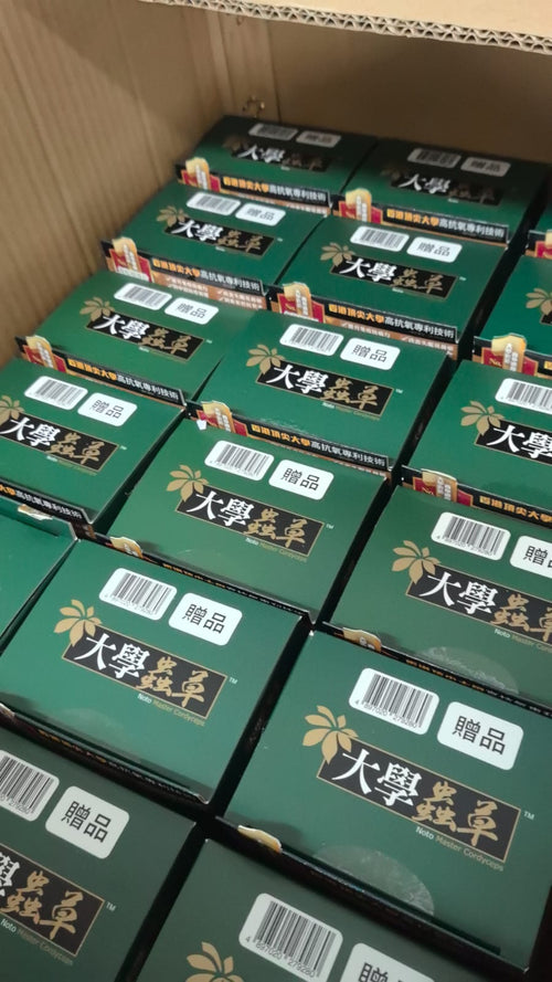 【24小時網站自助下單】2026年5月13日截🌸🌸Noto 樂道 - 大學蟲草 60粒 / Master Cordyceps 60 capsules(升級版) 每粒相等於146枝蟲草🎉🎉 | 預訂約5月中至尾 娉婷貿易公司 Exquisite Beauty Trading Company
