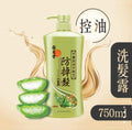 【24小時網站自助下單】🌸位元堂防掉髮洗髮水控油平衡配方750ml | 預訂約1-2星期 娉婷貿易公司 Exquisite Beauty Trading Company