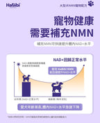 【24小時網站自助下單】🌸⭐️新產品⭐️*HaBibi® 狗狗NMN抗衰黃金配方 [大型犬] | 預訂約1-2星期 娉婷貿易公司 Exquisite Beauty Trading Company
