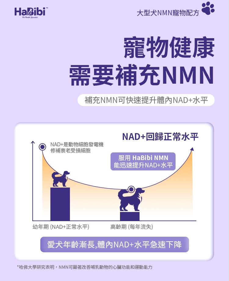 【24小時網站自助下單】🌸⭐️新產品⭐️*HaBibi® 狗狗NMN抗衰黃金配方 [大型犬] | 預訂約1-2星期 娉婷貿易公司 Exquisite Beauty Trading Company