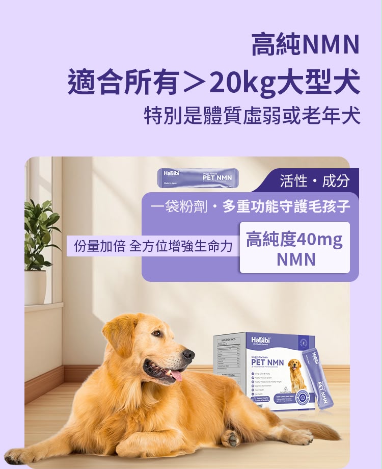 【24小時網站自助下單】🌸⭐️新產品⭐️*HaBibi® 狗狗NMN抗衰黃金配方 [大型犬] | 預訂約1-2星期 娉婷貿易公司 Exquisite Beauty Trading Company
