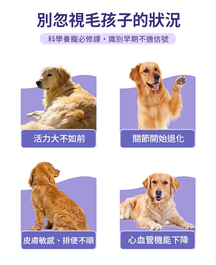 【24小時網站自助下單】🌸⭐️新產品⭐️*HaBibi® 狗狗NMN抗衰黃金配方 [大型犬] | 預訂約1-2星期 娉婷貿易公司 Exquisite Beauty Trading Company