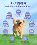 【24小時網站自助下單】🌸⭐️新產品⭐️*HaBibi® 狗狗NMN抗衰黃金配方 [大型犬] | 預訂約1-2星期 娉婷貿易公司 Exquisite Beauty Trading Company