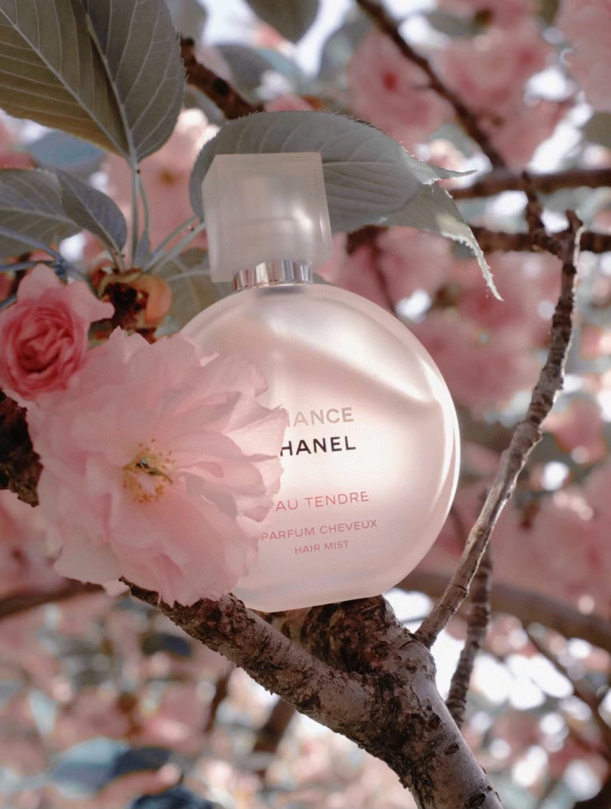 【24小時網站自助下單】供應商現貨🌸韓免🇰🇷Chanel香奈兒粉邂逅發噴35ml | 預訂 逢星期一，三返倉執貨 其後約3-5個工作天寄出 娉婷貿易公司 Exquisite Beauty Trading Company